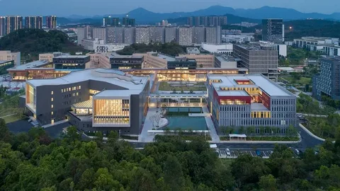 The Chinese University of Hong Kong, Shenzhen (CUHK-Shenzhen)
